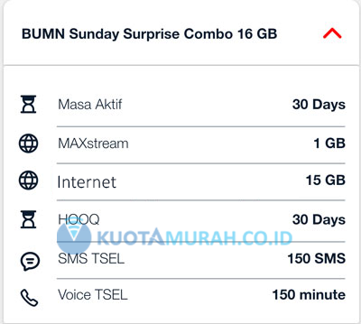 Cara Beli Paket Internet Telkomsel BUMN Sunday Surprise 16 GB Combo