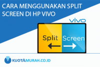 split screen vivo