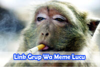 Link-Grup-Wa-Meme-Lucu