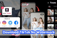 Download-TikTok-No-Watermark