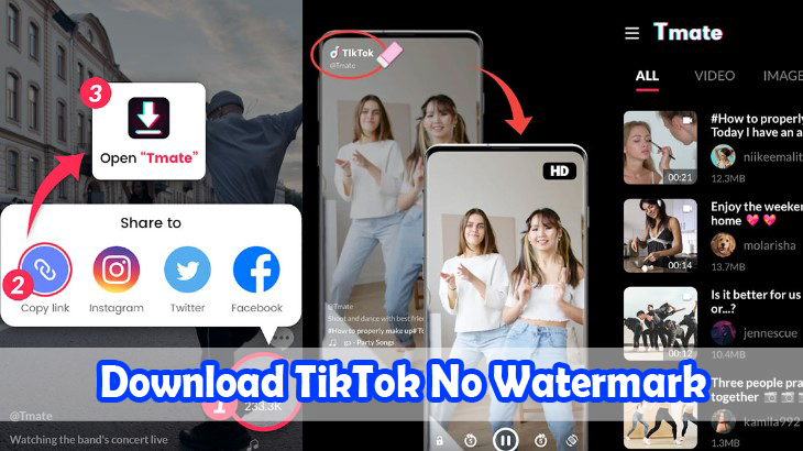 Download-TikTok-No-Watermark