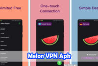 Melon-VPN-Apk