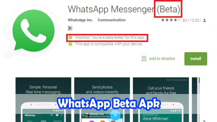 WhatsApp-Beta-Apk