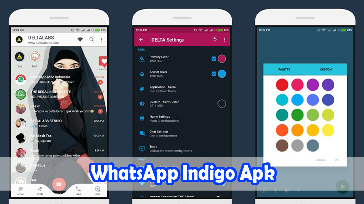 WhatsApp-Indigo-Apk